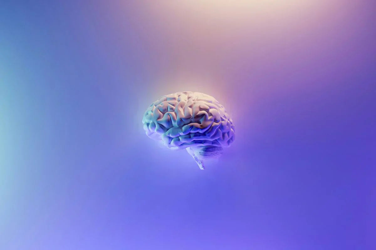 A brain depicted on a purple and blue background